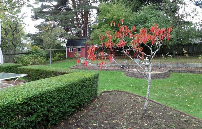 Super Cute 3-Bedroom Home w/Gorgeous Private Yard FOR RENT in Federal Way!