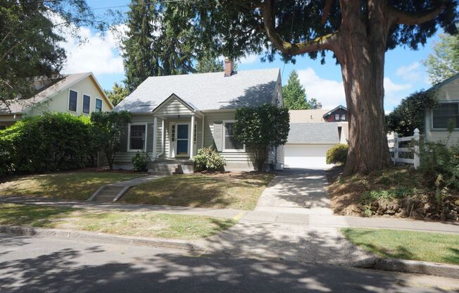 Westmoreland/Sellwood 3 bedroom Beauty!