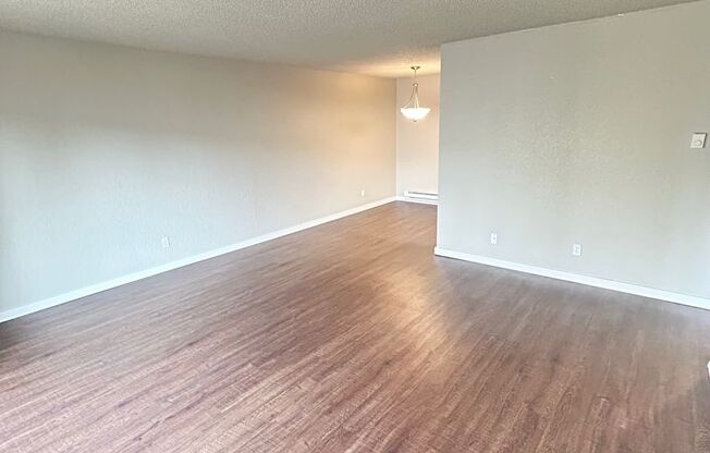 1 bed, 1 bath, 737 sqft, $1,750, Unit B11