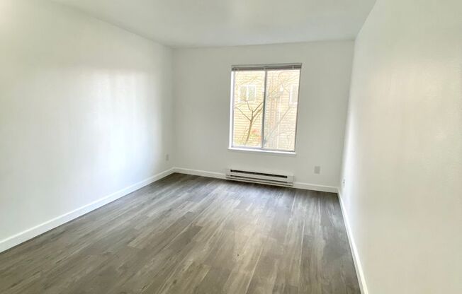 1 bed, 1 bath, 570 sqft, $1,650, Unit 310