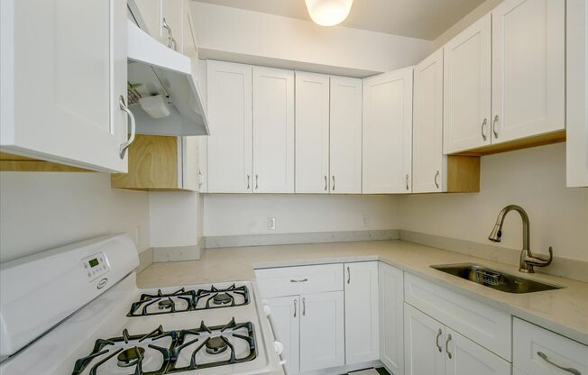 1 bed, 1 bath, $2,950, Unit 23