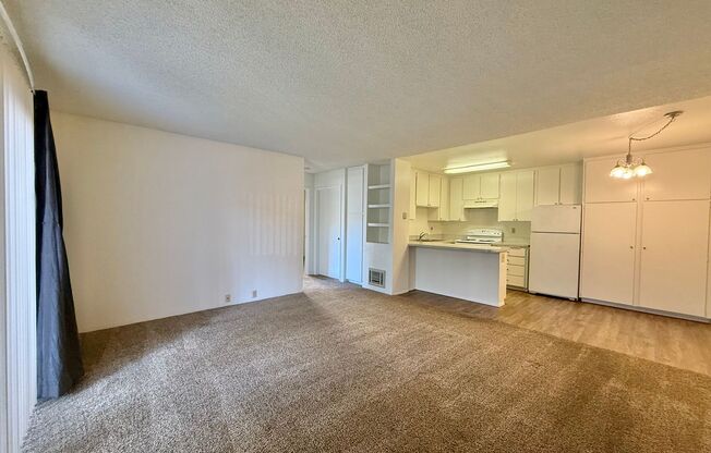 Spacious 2 Bedroom Condo Near Mission Valley!