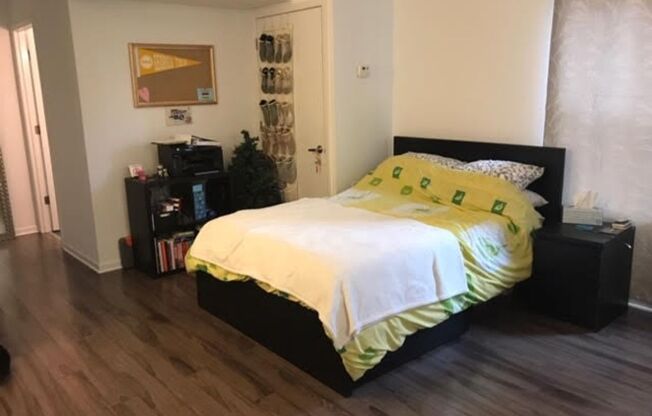 Studio, 1 bath, $1,450, Unit 5E