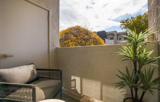 a small balcony with a couch and a plant