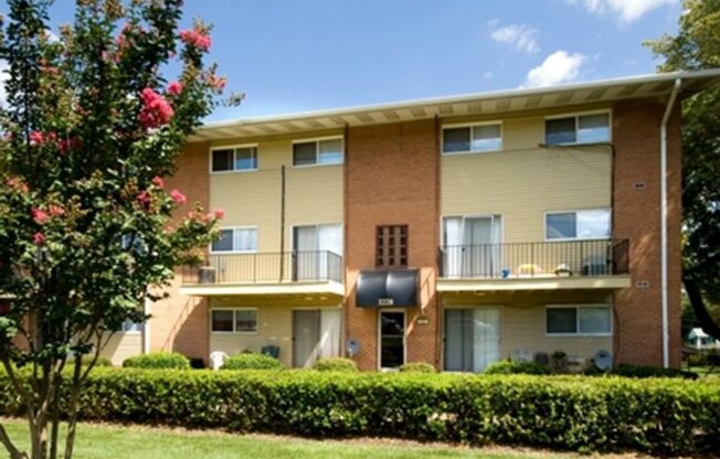 1 bed, 1 bath, 545 sqft, $1,450, Unit 3232-201