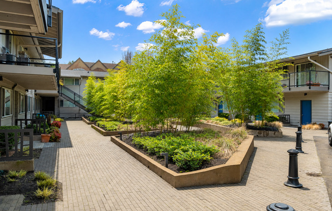 1 bed, 1 bath, 560 sqft, $1,525, Unit 62-12