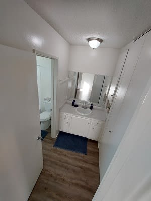 a bathroom with a sink toilet and mirror