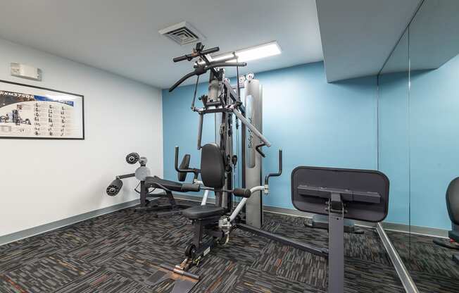 gym cable machine weights