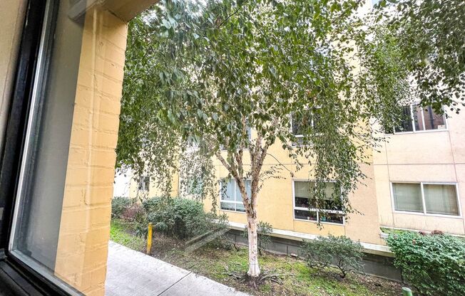 1 bed, 1 bath, 586 sqft, $1,495, Unit 216