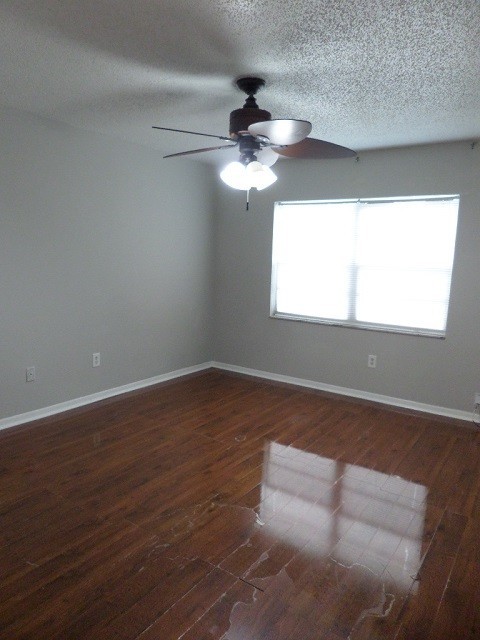 2 beds, 1 bath, $1,695