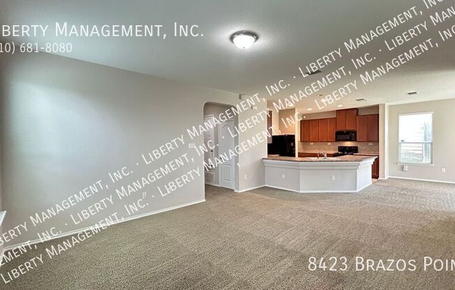 8423 BRAZOS PT