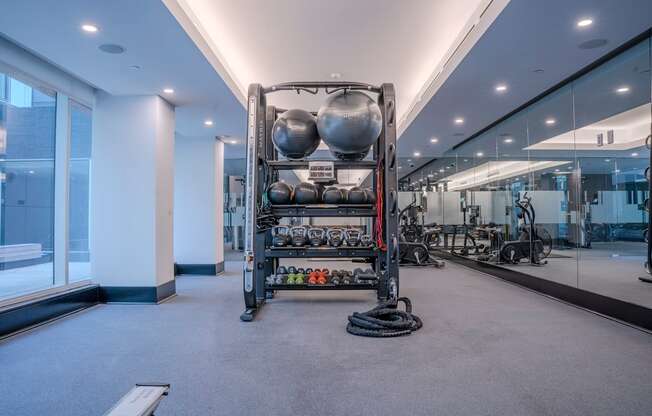 A gym with a rack of weights and exercise balls.