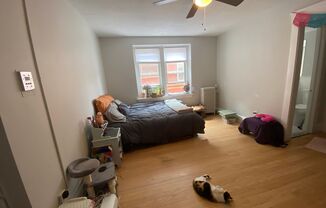 Studio, 1 bath, 325 sqft, $1,395, Unit Unit 205