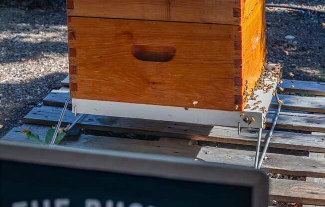 the busy bee company sign in front of a beehive