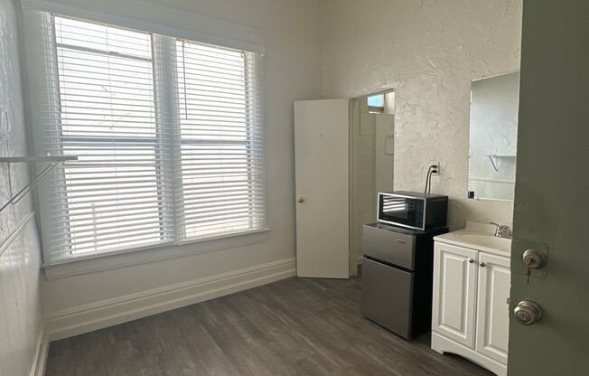 Studio, 1 bath, 115 sqft, $1,495, Unit #16