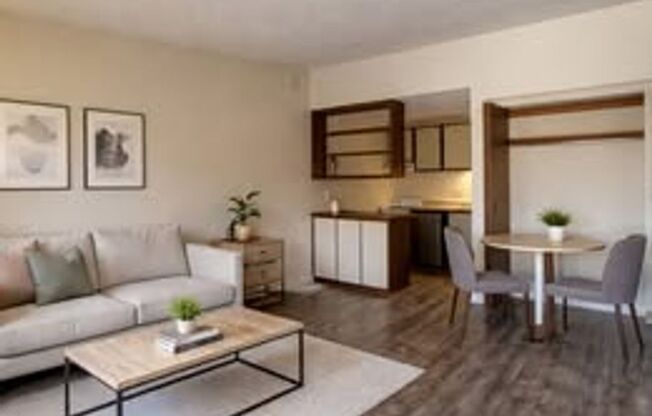 Studio, 1 bath, $895, Unit 905