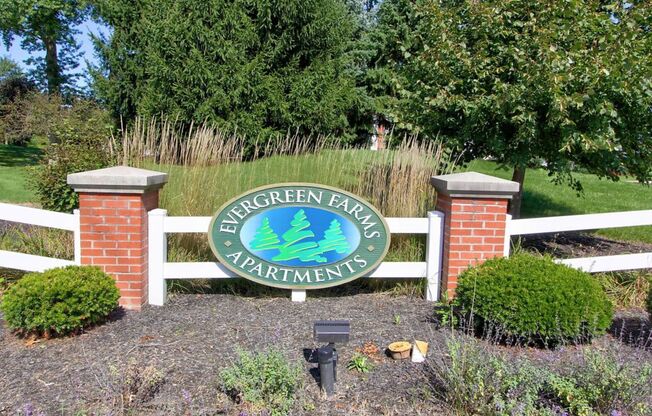 Evergreen Farms