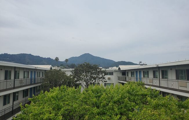 Newly Renovated Corte Madera Two Bedroom with Pool, Elevator, AC