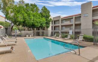 our apartments have a swimming pool with chairs and trees