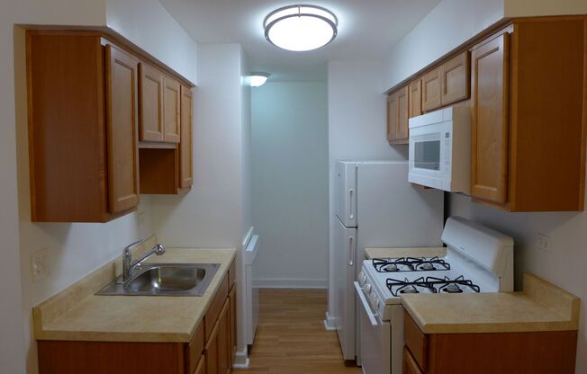 1 bed, 1 bath, 650 sqft, $1,495, Unit 310