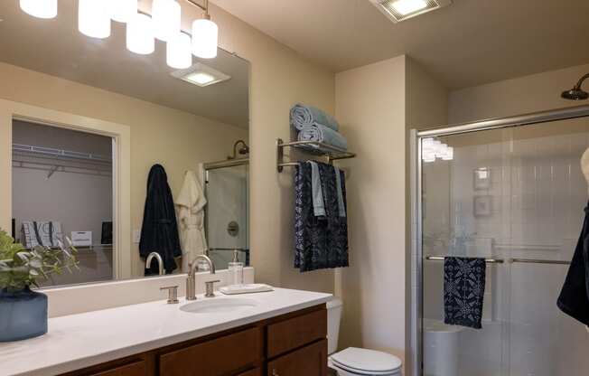 Bathroom at Quarry Apartments and Townhomes in DeWitt Michigan