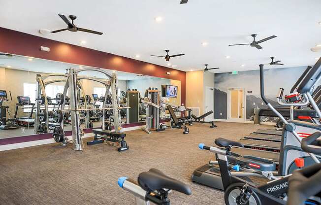 A gym with a variety of equipment including treadmills, weights, and exercise machines.