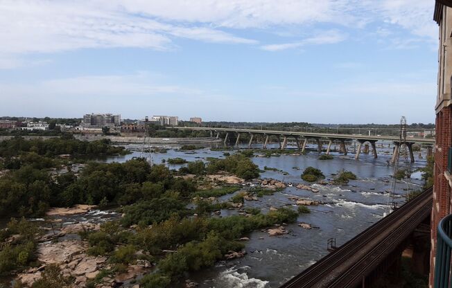 1 bed, 1 bath, $1,600