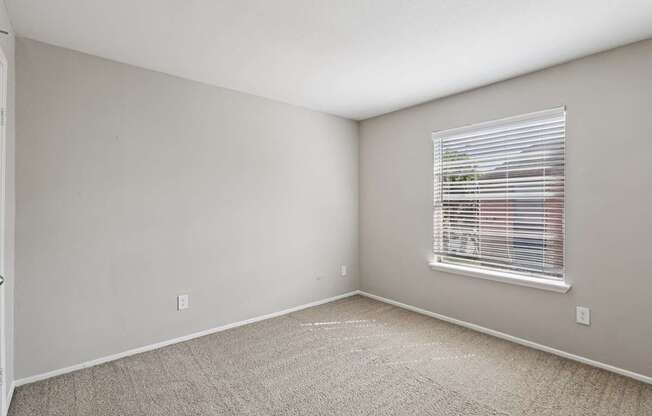 A room with a window and carpeted floor.