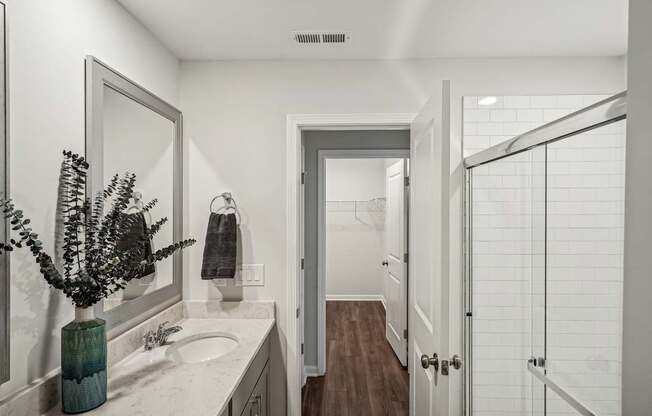 a bathroom with a sink and a shower and a mirror