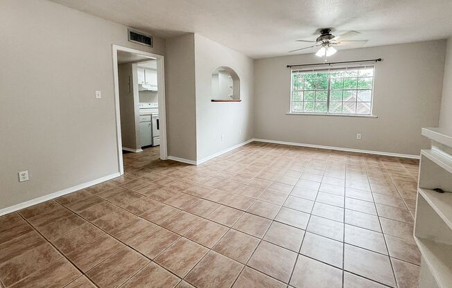 Beautiful Condo Near Moncus Park