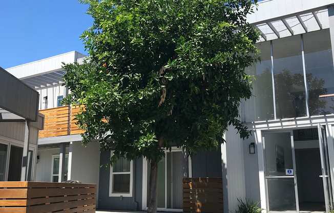 a tree in front of a building