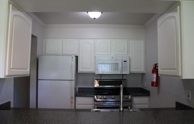 Cozy 1 Bedroom Apartment in Heart of Fort Collins