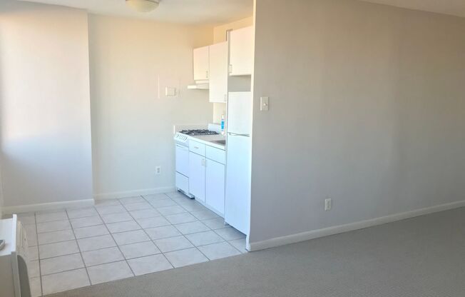 Studio, 1 bath, 405 sqft, $1,500, Unit 0106
