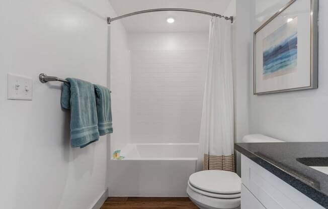 a bathroom with a shower and a toilet and a sink