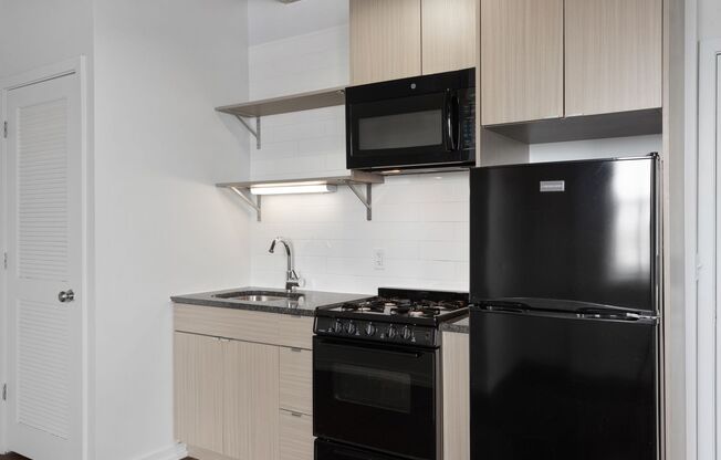 Studio, 1 bath, 221 sqft, $1,650, Unit 1009