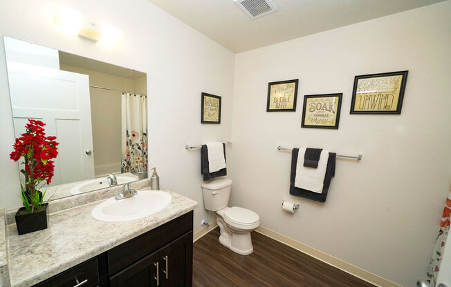Large, Handicap Accessible Bathroom at Copper Creek Apartment Homes, Maize, KS, 67101