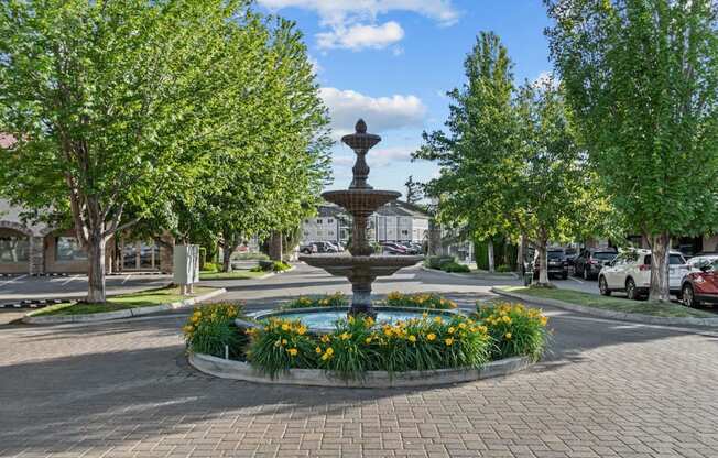 Beautiful Water Fountain Near Street and Parking