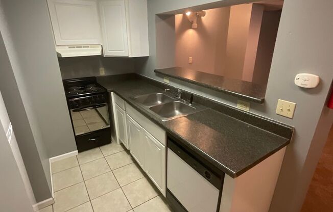 1 bed, 1 bath, 500 sqft, $1,200, Unit Apt 16