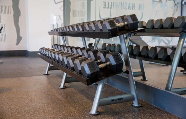 A row of weights in the gym