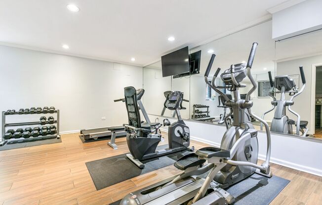 Studio, 1 bath, 387 sqft, $1,395, Unit 409