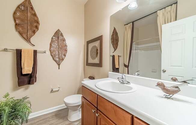 Luxurious Bathroom at Rose Heights Apartments, North Carolina, 27613