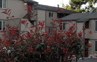 #422 CEDAR VILLA APARTMENTS