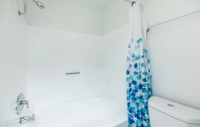 a shower curtain