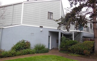 400 Laurel Street