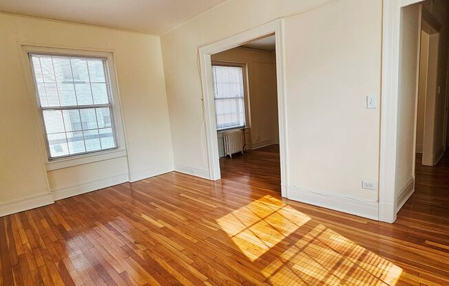 1 bed, 1 bath, 550 sqft, $1,500, Unit 204