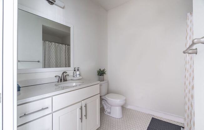 Studio, 1 bath, 337 sqft, $1,650, Unit 216