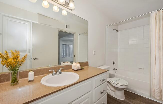 a bathroom with a sink and a toilet and a mirror