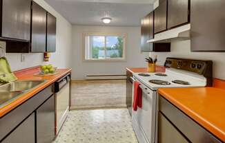 Arctic Sun Kitchen