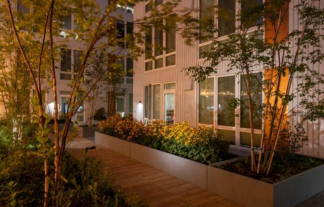 The Warren Apartments patio trees at night