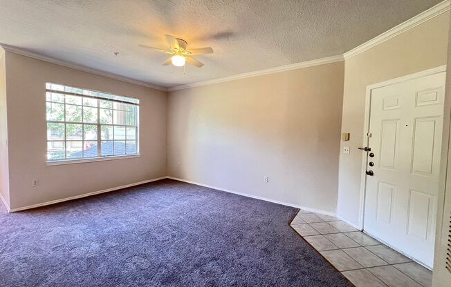 Spacious 1/1 condo!